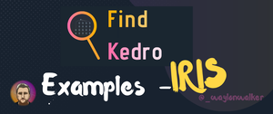 thumbnail for find-kedro-examples-iris.png